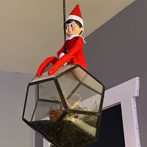 Meet your Posher, Brad